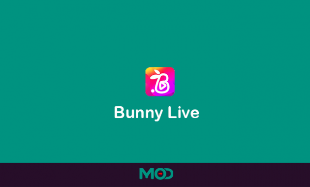 bunny live