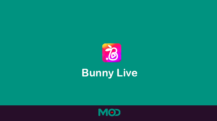bunny live