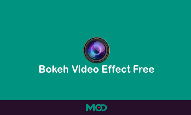 bokeh video effect free