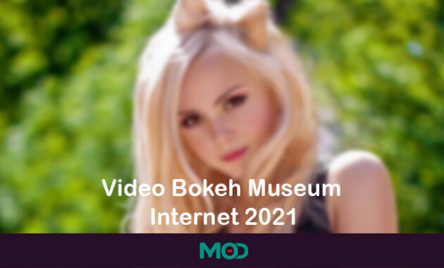 Video Bokeh Museum Internet 2021