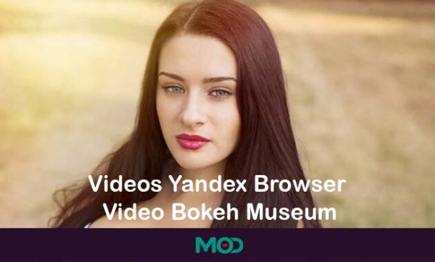 Videos Yandex Browser Video Bokeh Museum